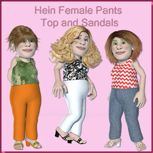 Hein Female Pants Top & Sandals